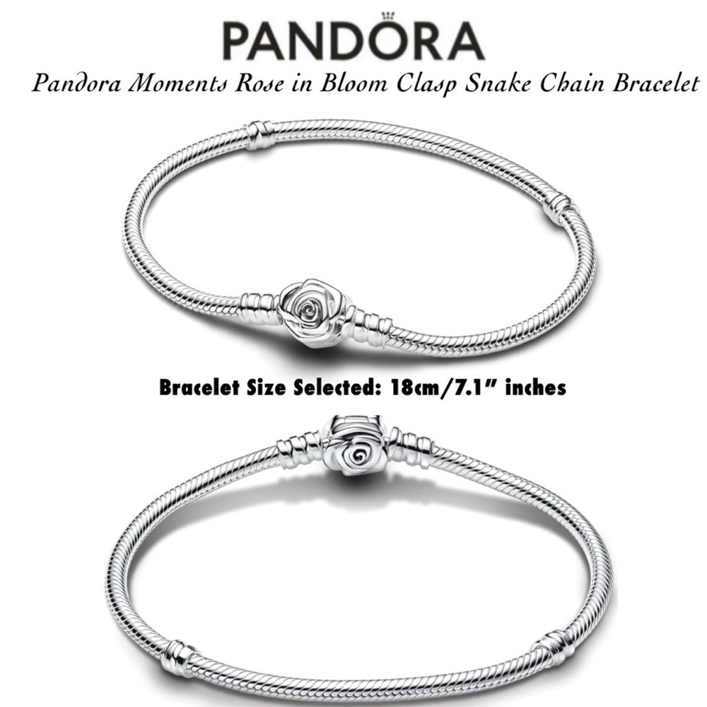 Pandora Rose in Bloom Clasp Snake Chain Bracelet - Silver